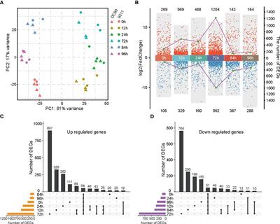 Comparing time-series transcriptomes between chilling-resistant and -susceptible rice reveals potential transcription factors responding to chilling stress